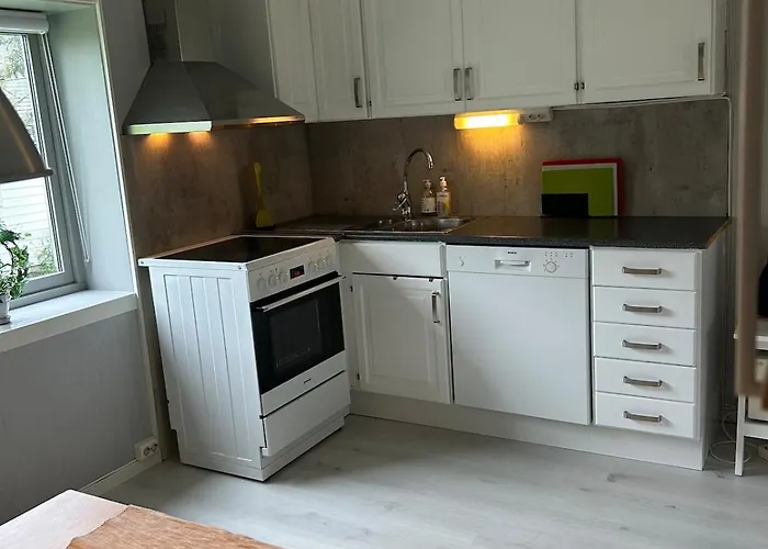 아파트 Cozy Close To The Center And Mountains